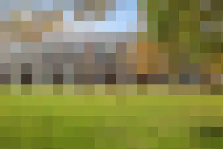 Nonnenveld 46 Breda thumbnail 6