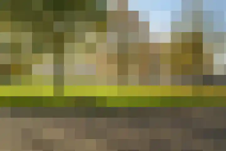 Nonnenveld 46 Breda thumbnail 7