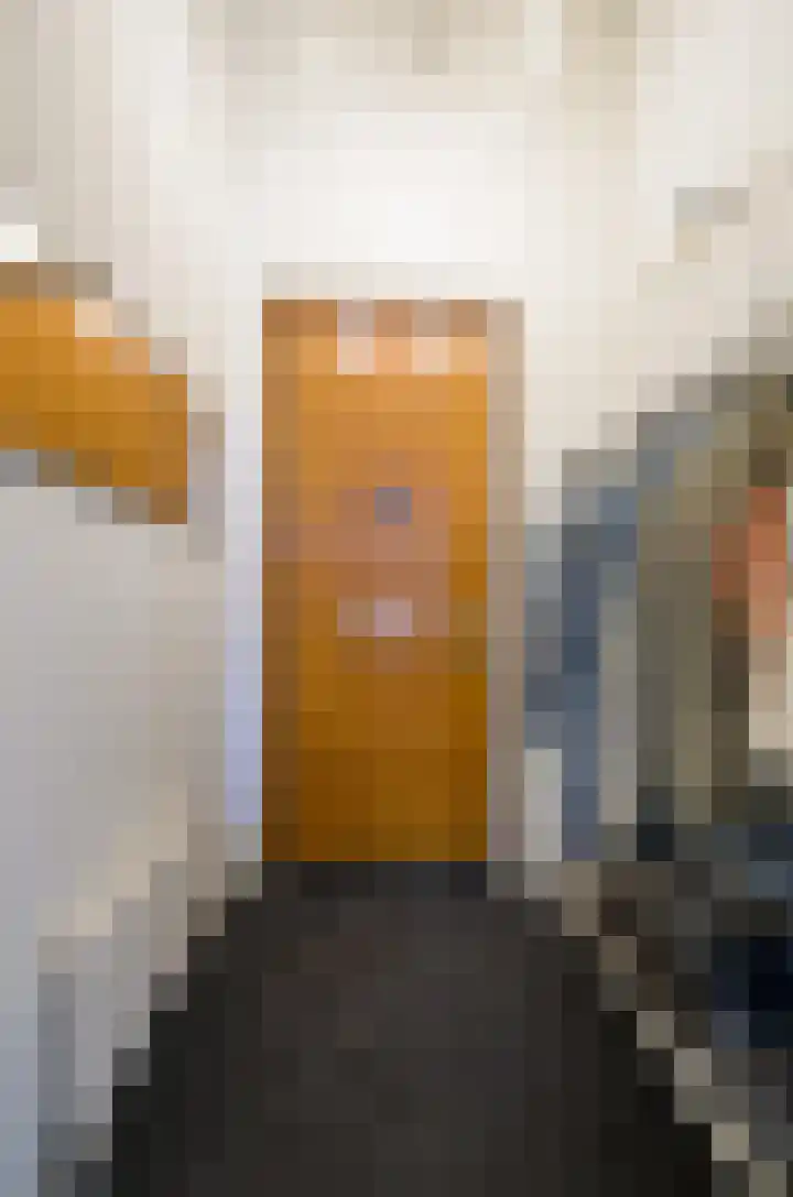 Nonnenveld 46 Breda thumbnail 8