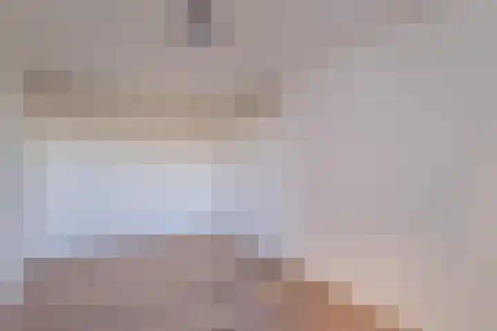 Nonnenveld 481 Breda thumbnail 30