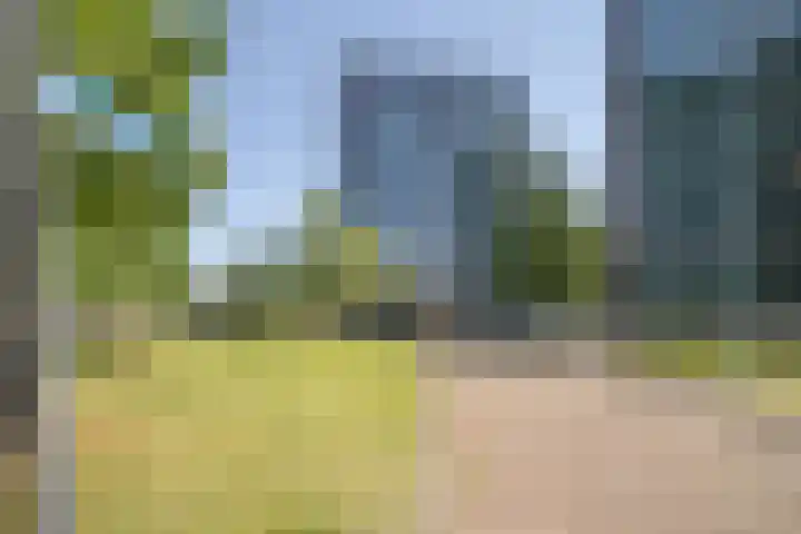 Nonnenveld 481 Breda thumbnail 39