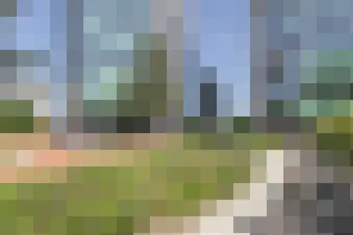 Nonnenveld 481 Breda thumbnail 40