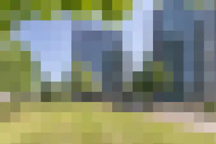 Nonnenveld 481 Breda thumbnail 5