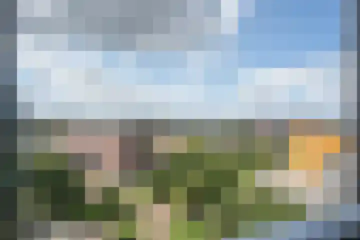 Nonnenveld 517 Breda thumbnail 15