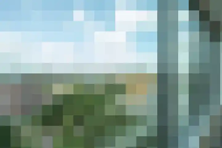 Nonnenveld 517 Breda thumbnail 25
