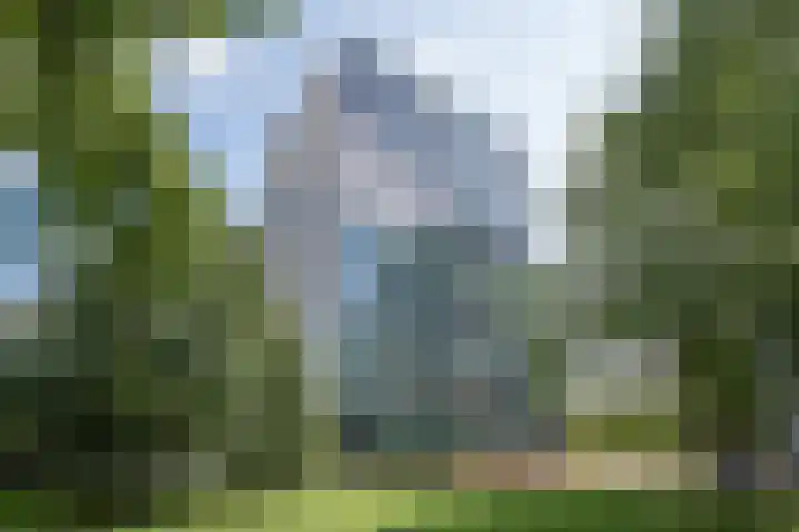 Nonnenveld 517 Breda thumbnail 32