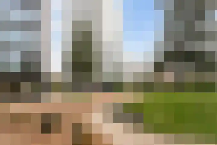 Nonnenveld 535 Breda thumbnail 39