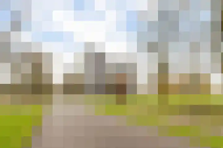 Nonnenveld 535 Breda thumbnail 41
