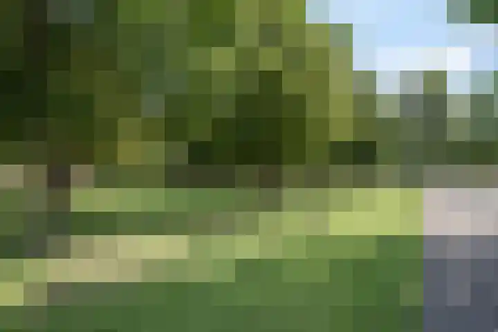 Nonnenveld 649 Breda thumbnail 28