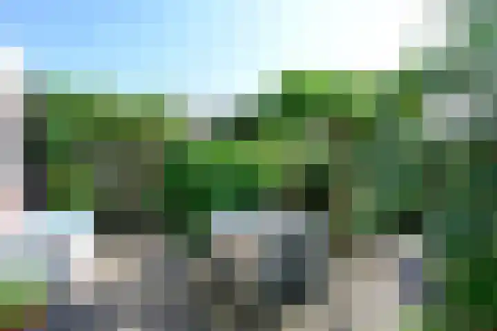 Nonnenveld 649 Breda thumbnail 30