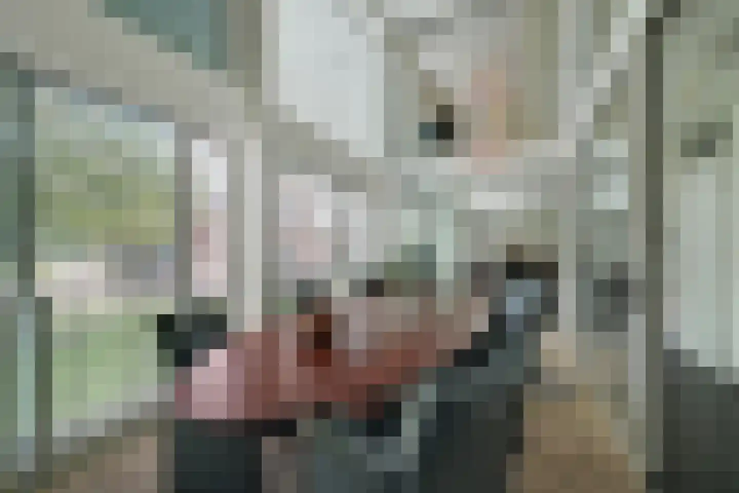 Nonnenveld 68 Breda thumbnail 12