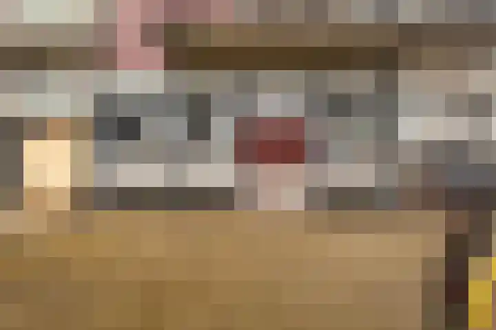 Nonnenveld 68 Breda thumbnail 45