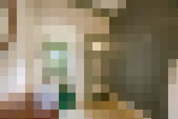 Nonnenveld 68 Breda thumbnail 48