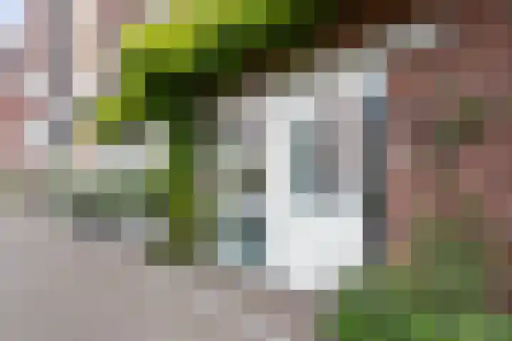 Nonnenwater 12 Gouda thumbnail 10