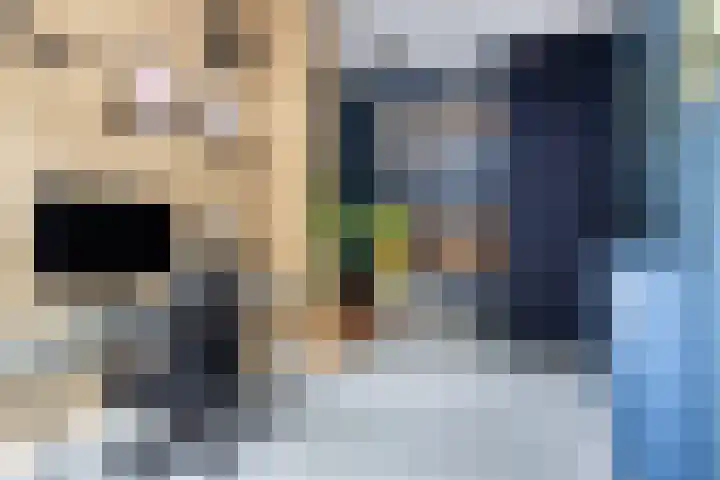 Nonnenwater 12 Gouda thumbnail 14