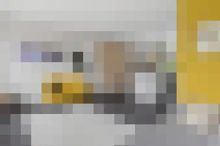 Nonnenwater 12 Gouda thumbnail 22