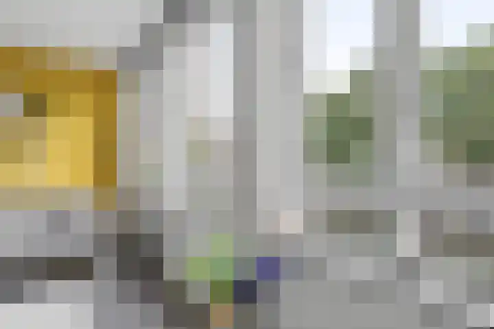 Nonnenwater 12 Gouda thumbnail 24