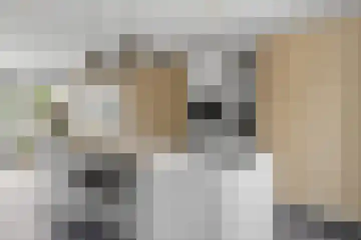 Nonnenwater 12 Gouda thumbnail 30