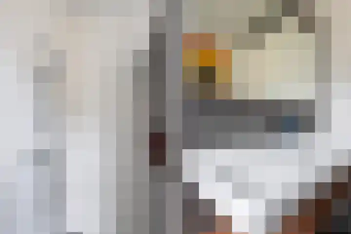 Nonnenwater 12 Gouda thumbnail 45