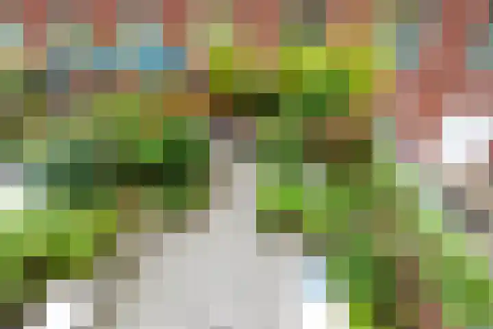 Nonnenwater 12 Gouda thumbnail 46