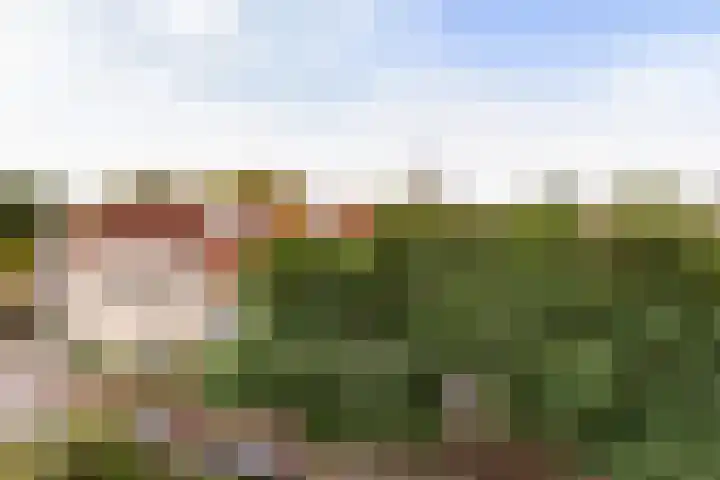 Nonnenwater 12 Gouda thumbnail 54
