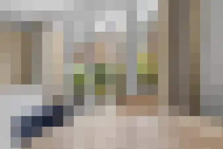 Nonnenwater 12 Gouda thumbnail 55