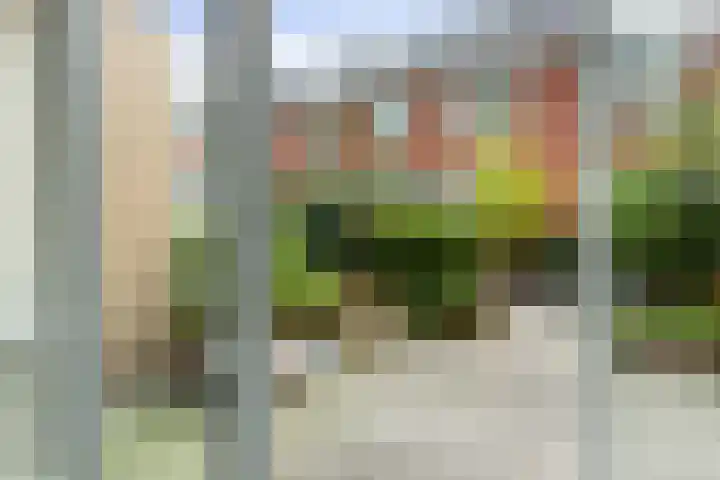 Nonnenwater 12 Gouda thumbnail 56