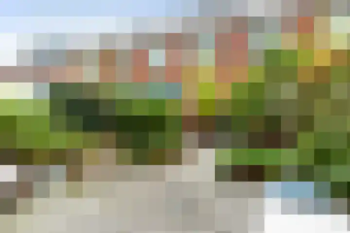 Nonnenwater 12 Gouda thumbnail 57