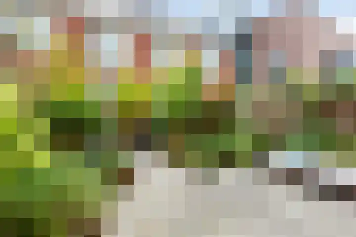 Nonnenwater 12 Gouda thumbnail 58