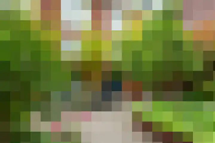 Nonnenwater 12 Gouda thumbnail 61