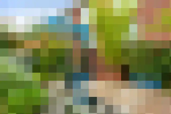 Nonnenwater 12 Gouda thumbnail 62