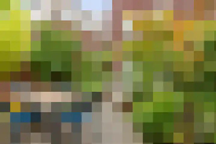 Nonnenwater 12 Gouda thumbnail 63