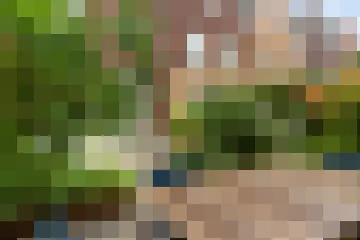 Nonnenwater 12 Gouda thumbnail 64