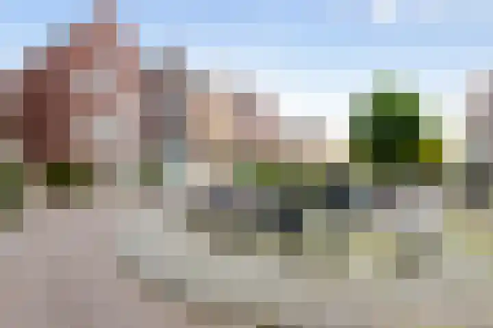 Nonnenwater 12 Gouda thumbnail 8