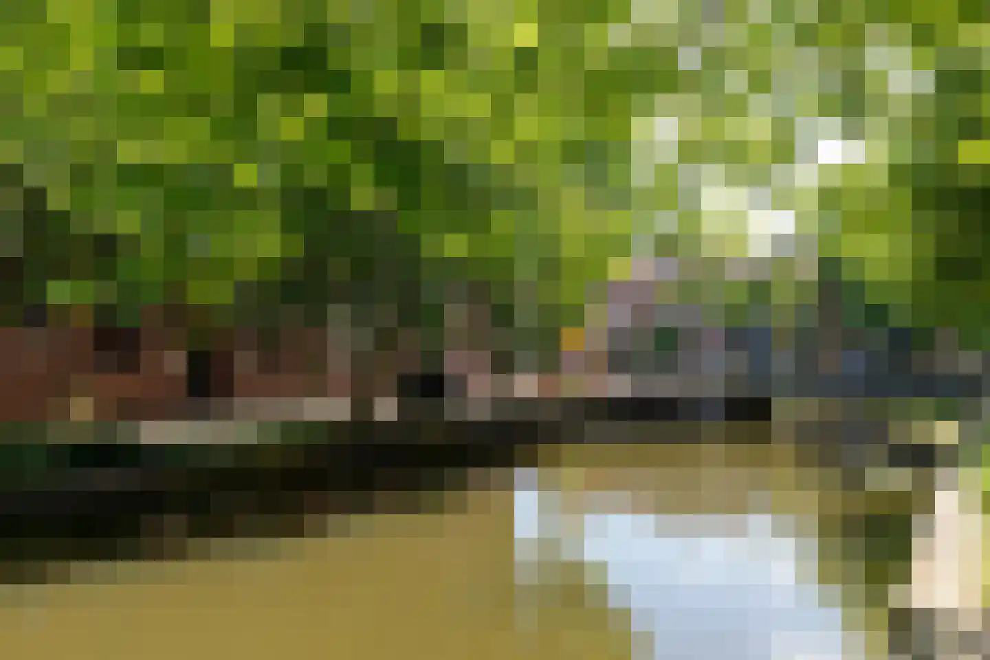 Nonnenwater 7 b Gouda thumbnail 22