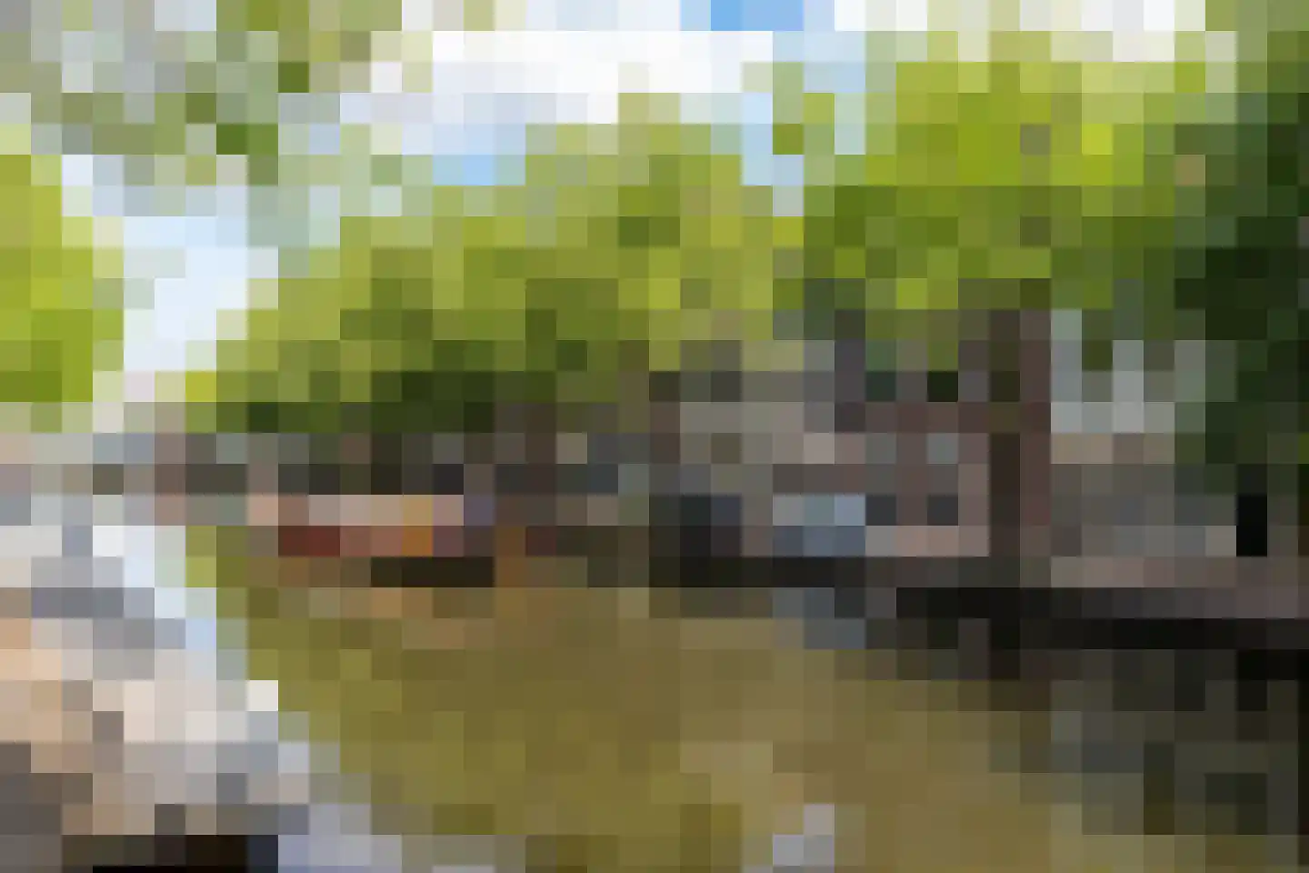 Nonnenwater 7 b Gouda thumbnail 23