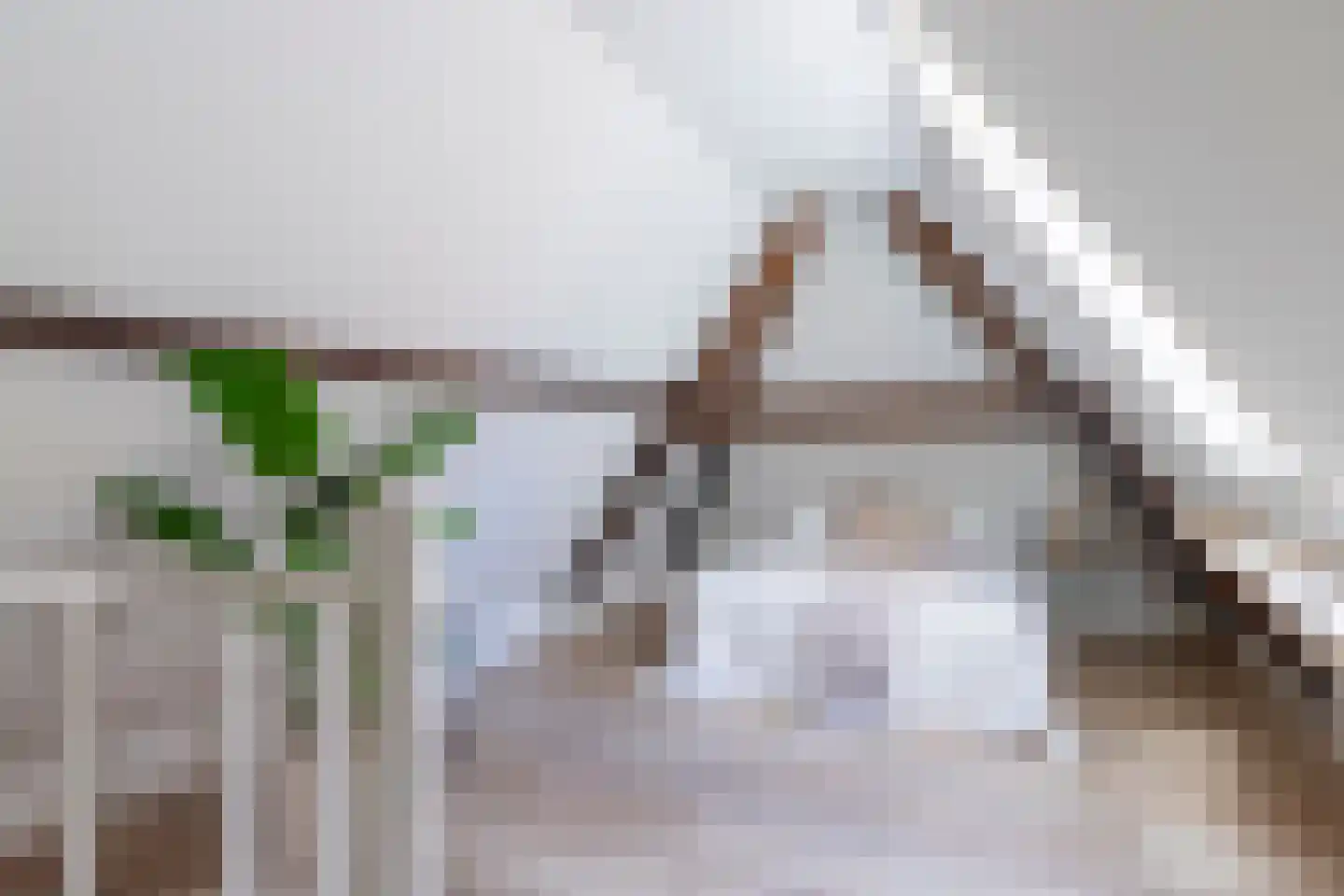 Nonnenwater 7 b Gouda thumbnail 4