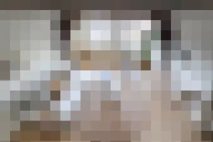 Nonnenwater 7 c Gouda thumbnail 10