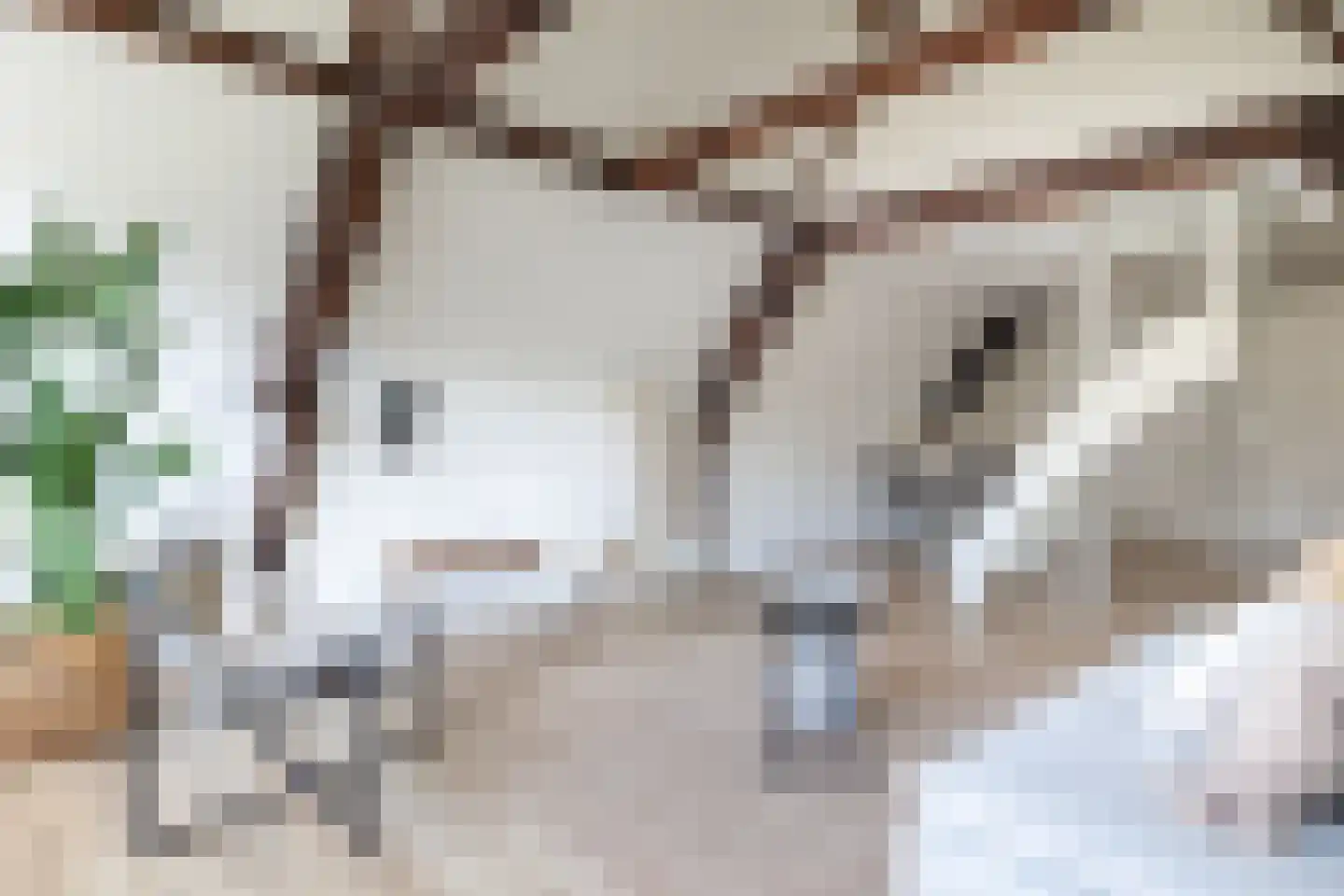 Nonnenwater 7 c Gouda thumbnail 11