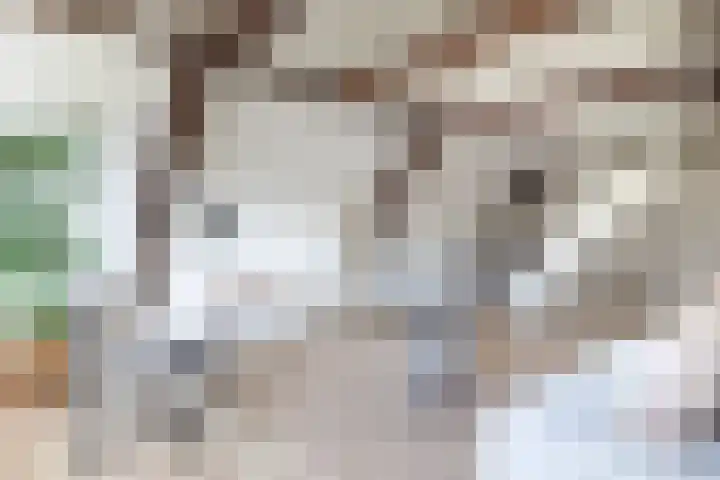 Nonnenwater 7 c Gouda thumbnail 11