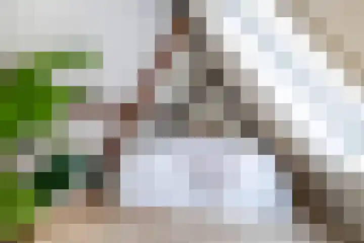 Nonnenwater 7 c Gouda thumbnail 17
