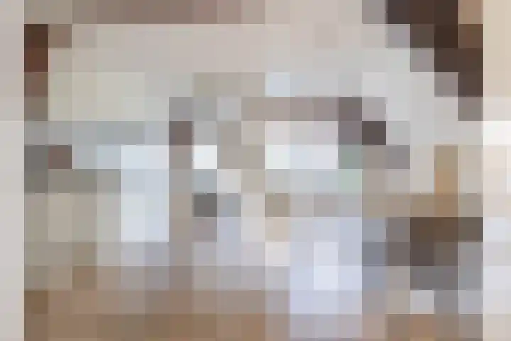 Nonnenwater 7 c Gouda thumbnail 7