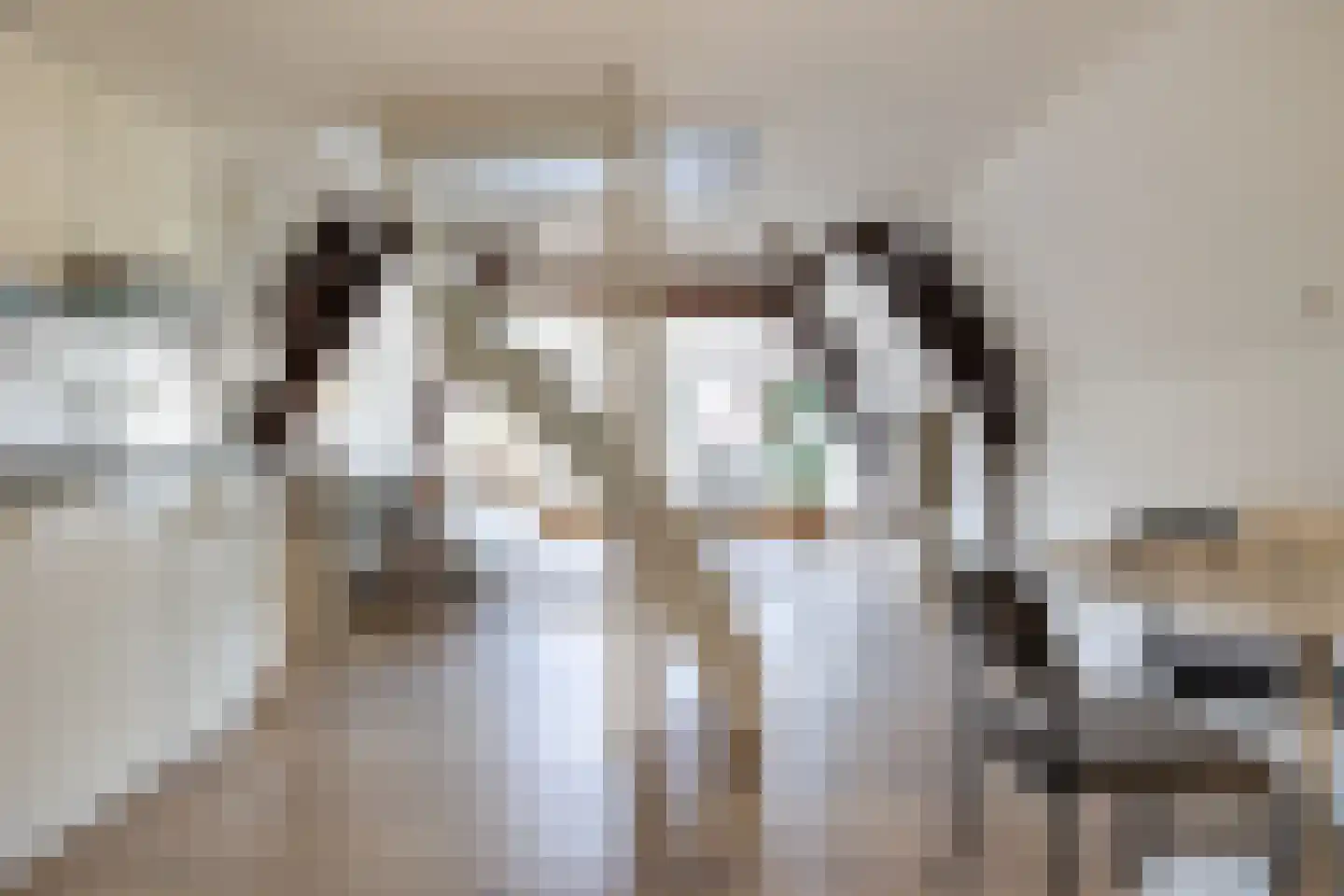Nonnenwater 7 c Gouda thumbnail 8
