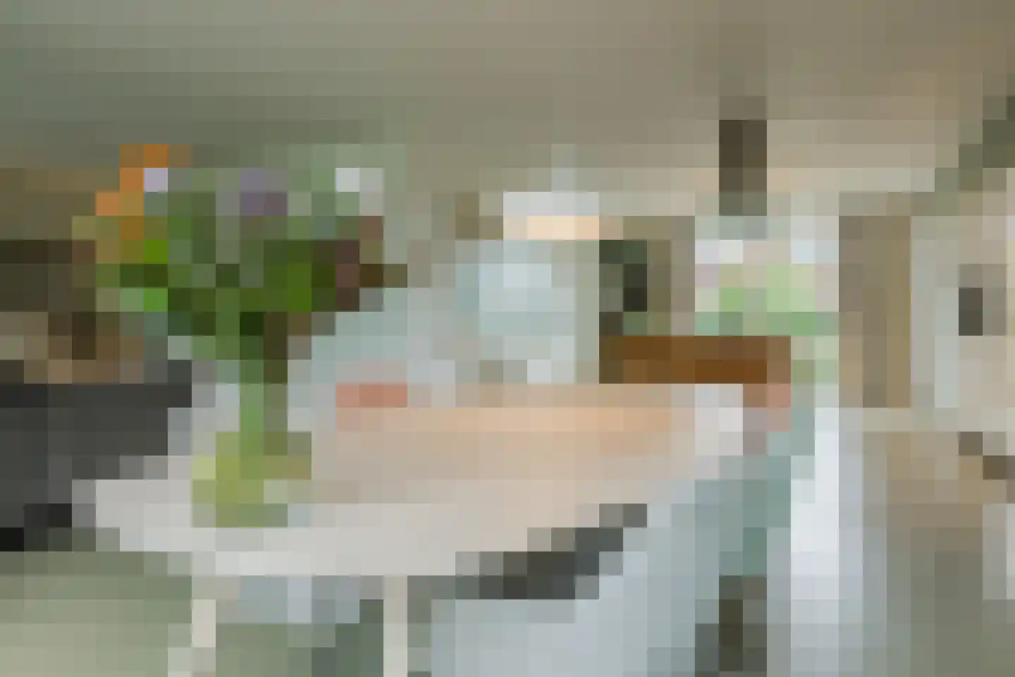 Nonnetje 1 Bergen op Zoom thumbnail 13