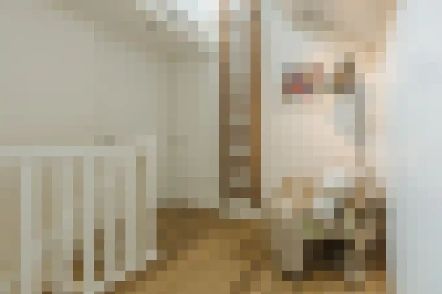 Nonnetje 1 Bergen op Zoom thumbnail 37