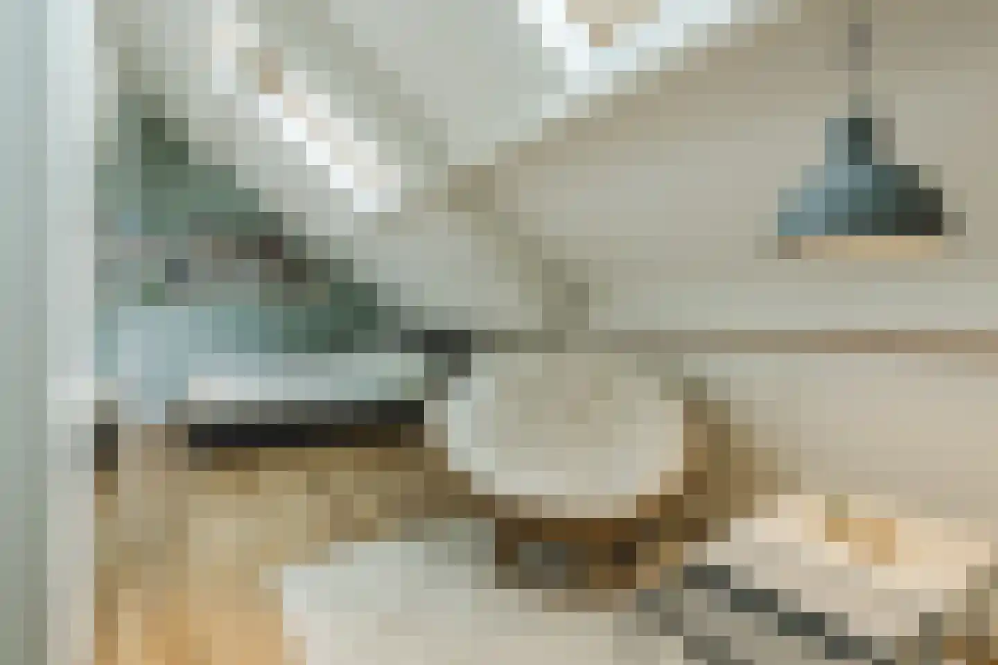 Nonnetje 1 Bergen op Zoom thumbnail 39