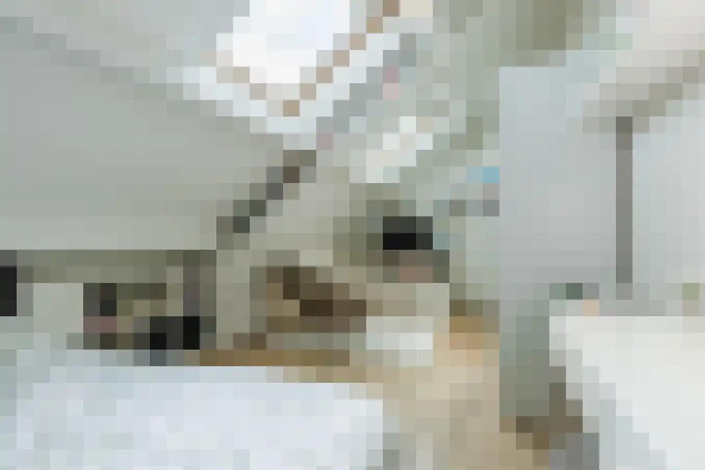 Nonnetje 1 Bergen op Zoom thumbnail 41