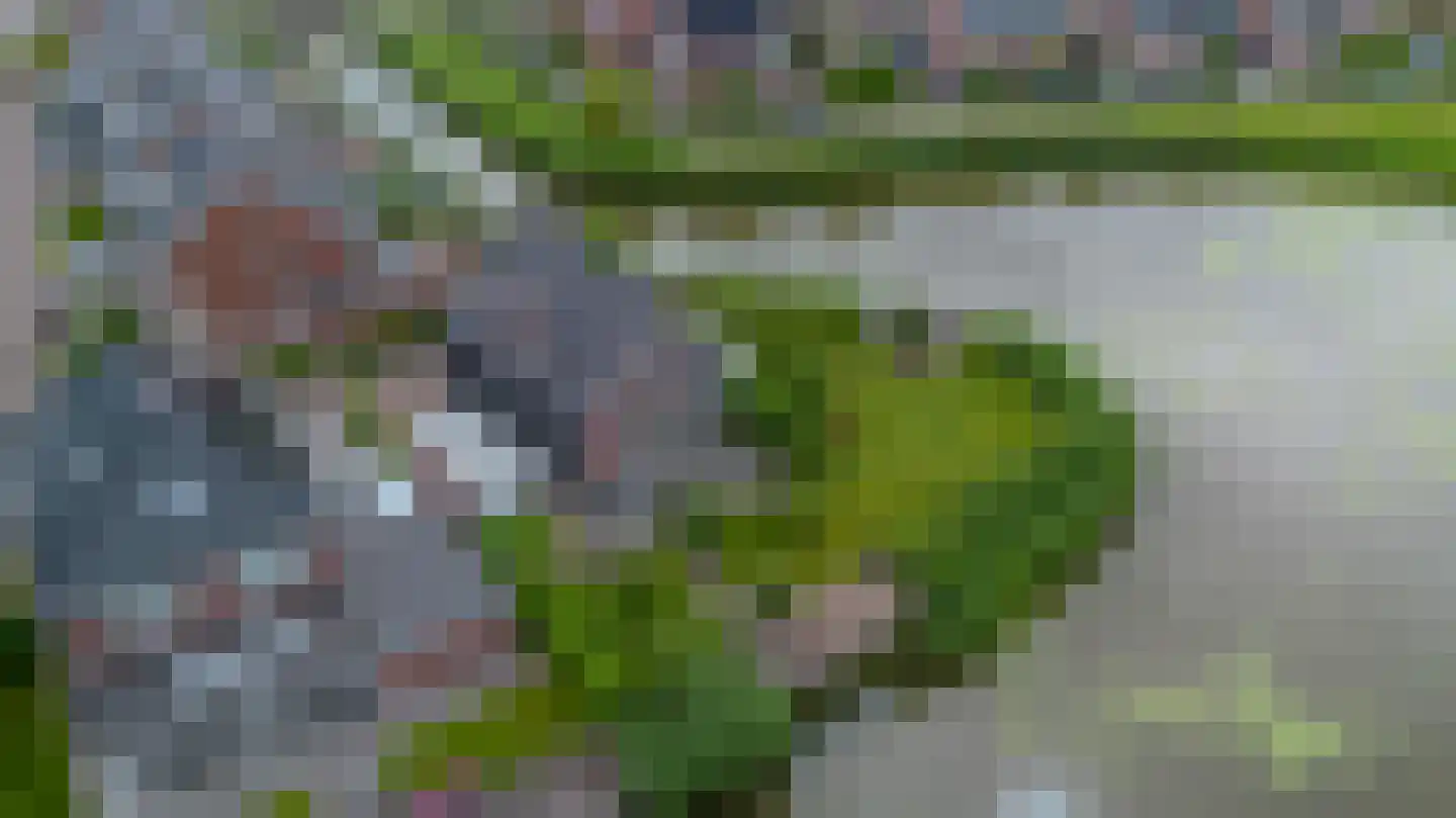 Nonnetje 1 Bergen op Zoom thumbnail 5