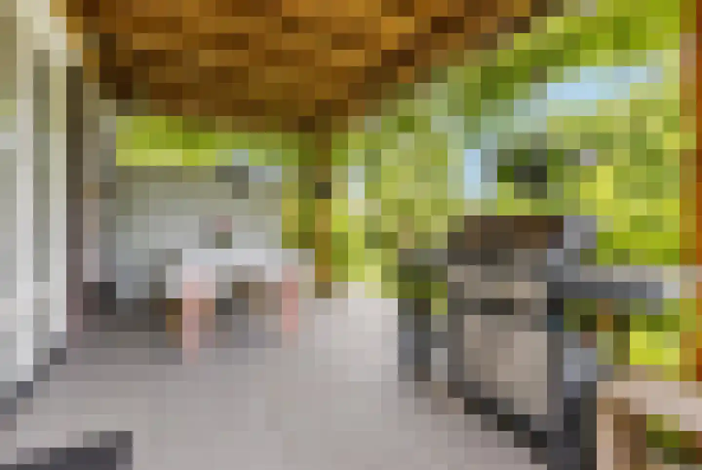 Nonnetje 1 Bergen op Zoom thumbnail 51