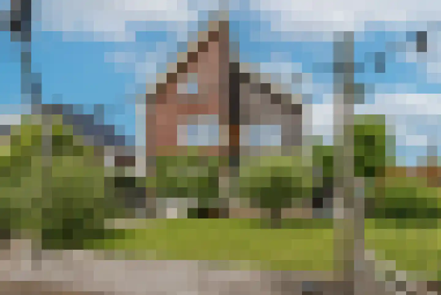 Nonnetje 1 Bergen op Zoom thumbnail 53